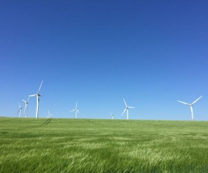 Mearns windmills by Mark Strickland Mearns windmills