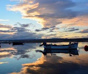 Evening at Montrose Basin by Alan Thomson