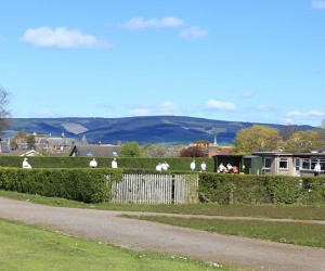 Laurencekirk Bowling club Laurencekirk Bowling club