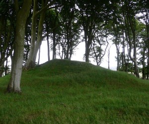 hilltop-trees