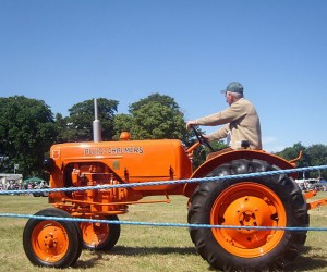 orange-tractor