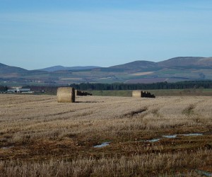 Hay bales