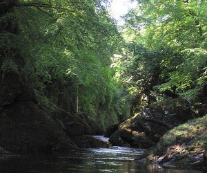 quiet-river